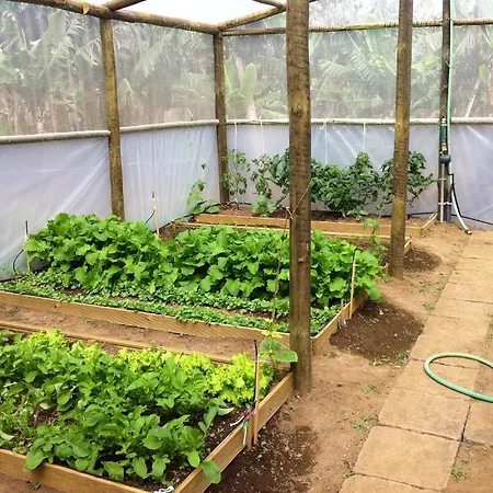 Quinta De Santa Clara Ponta Delgada