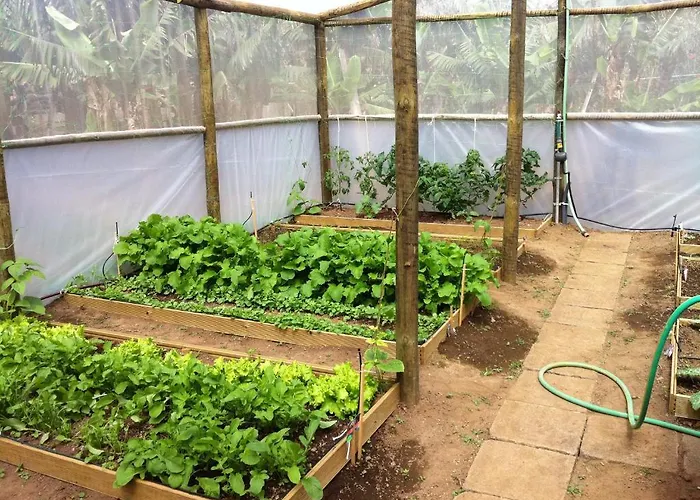 Quinta De Santa Clara Ponta Delgada (Sao Miguel)