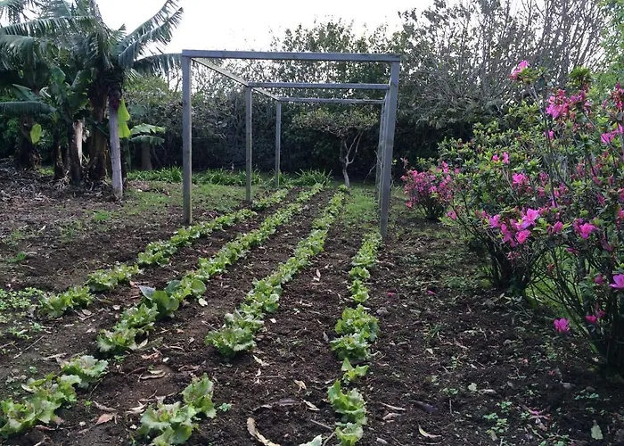 Quinta De Santa Clara Farm stay *