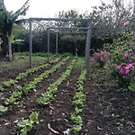 Quinta De Santa Clara Alojamento de Turismo Rural *