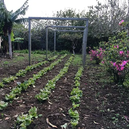 Quinta De Santa Clara Vakantieboerderij *